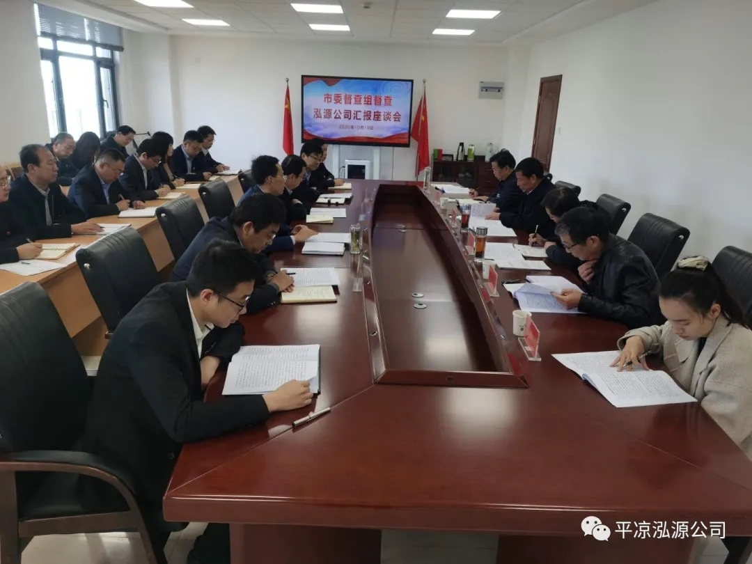 市委辦公室、市政府國資委督查泓源公司工作(圖4)